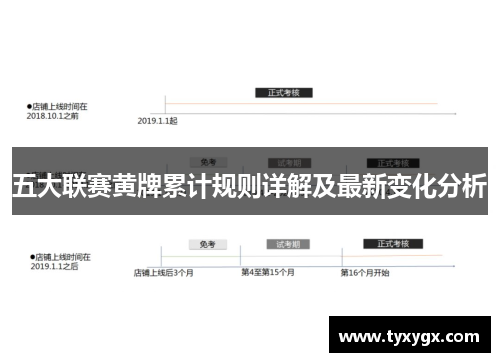 五大联赛黄牌累计规则详解及最新变化分析